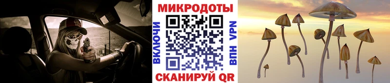 Псилоцибиновые грибы мицелий  купить   Жердевка 